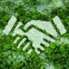 ESG im Autohandel: The Green-Deal-Maker