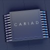 VW-Softwaresparte: Cariad mit weiterem Stellenabbau