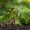 Reform der THG-Quote: Strengere Ziele kommen