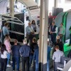 Benchmark: "Keiner von uns kann so perfekt zählen wie die getesteten Hagelscanner"
