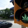 Cannabis: Gericht entscheidet nach neuem Grenzwert