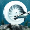 Mahle zeigt bionisches Gebläse: Pinguin trifft Klimaanlage