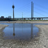 Niedrigwasser: Frachtschiff mit Mercedes Sprintern steckt fest
