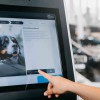 Digitale Serviceannahme: Tjekvik stärkt Präsenz in DACH-Region