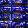 Dataforce-Analyse: Automarkt im Krisenmodus