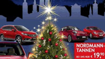 Advents-Aktion: Opel Häusler verkauft Christbäume