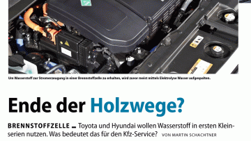 Ausgabe 12/2014: Ende der Holzwege?