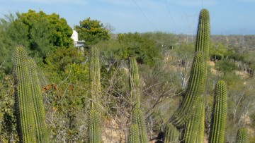 Panamericana-Motorradtour, Teil 7: Drei Enduros, Tequila und Benzingespräche