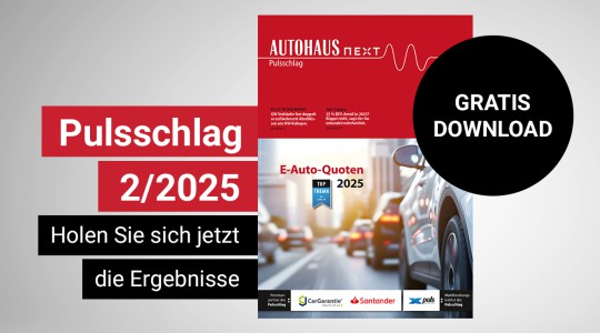 AUTOHAUS Pulsschlag kostenlos herunterladen