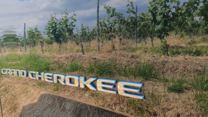 Früher war der Grand Cherokee mit maximal acht Zylindern unterwegs, heute geht die Offroad-Tour mit vier Zylindern 