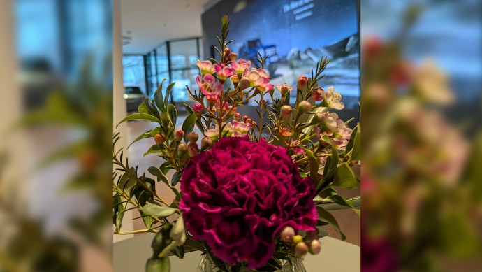 Blumen, das Lächeln der Erde! Zum Ehrentag!