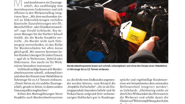 Zusatzgeschäft: Marderabwehr als Renditechance Ausgabe 19/2025 Seite 062