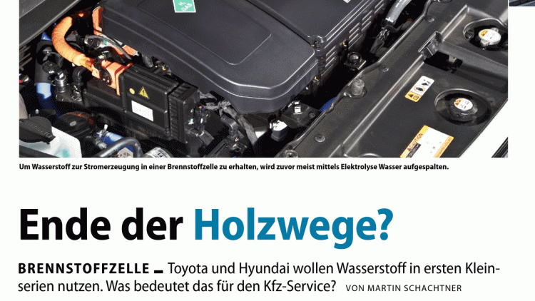 Ausgabe 12/2014: Ende der Holzwege?