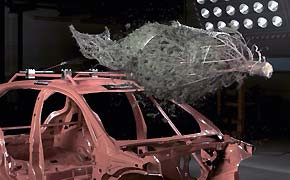 Transportsicherung: "Gefahrgut" Weihnachtsbaum Christbaum