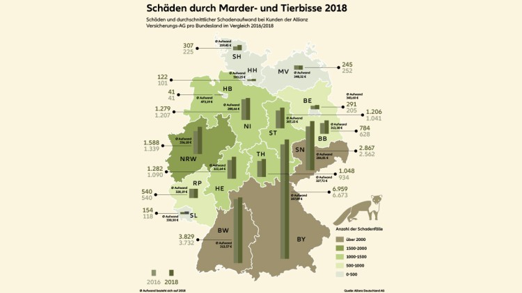 Tierbiss-Schäden: Allianz hat den 20.000-Euro-Nager