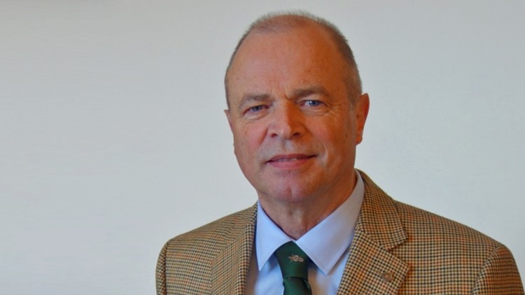 Prof. Hannes Brachat