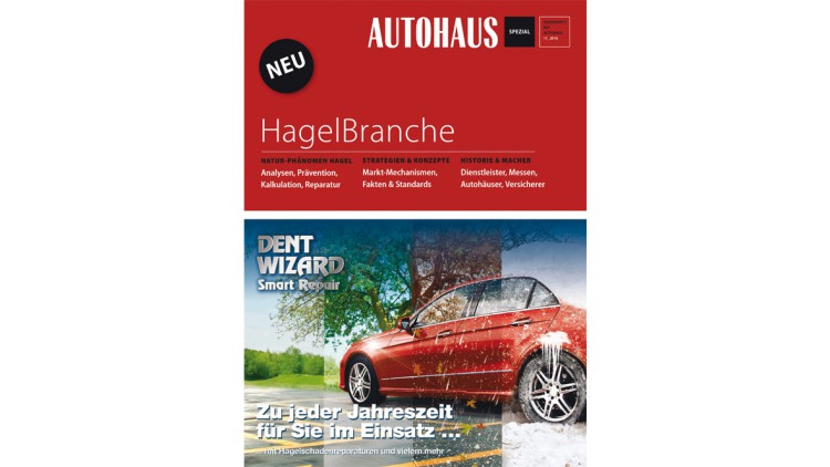 Neues Standardwerk: Die HagelBranche ist da! Neues Standardwerk: Die HagelBranche ist da!