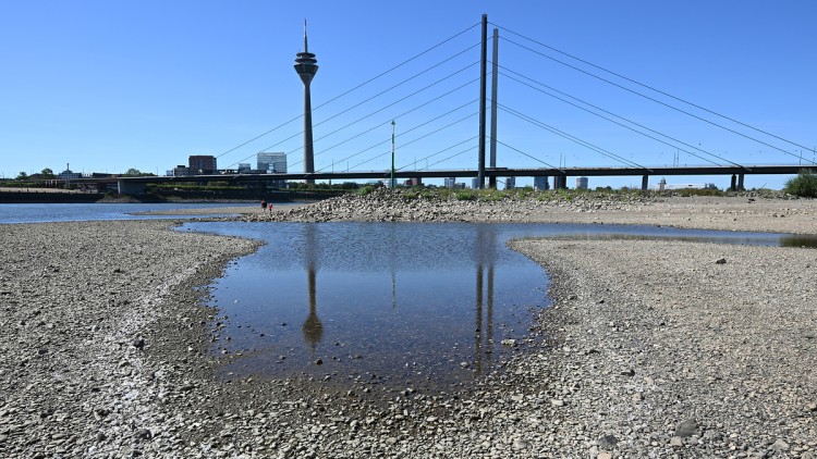  Nordrhein-Westfalen, Düsseldorf: Der Rheinturm spiegelt sich bei niedrigem Wasserstand auf dem Rhein in einer Lache. 
