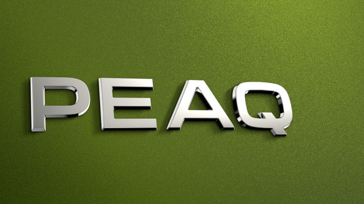 Skoda Peaq, Schriftzug