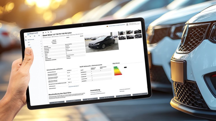 Tablet mit dem Online-Shop von Bayerwald-Leasing vor einer Reihe von Gebrauchtfahrzeugen