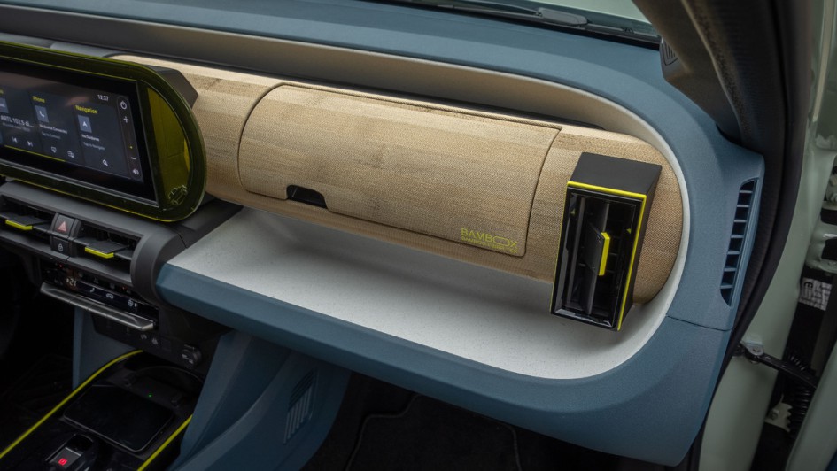 Bambus im Fiat Grande Panda