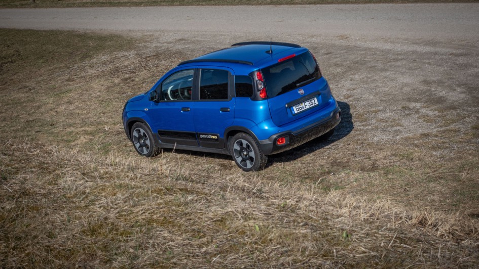 Heckansicht des Fiat Pandina in blau lackiert auf einer Wiese stehend