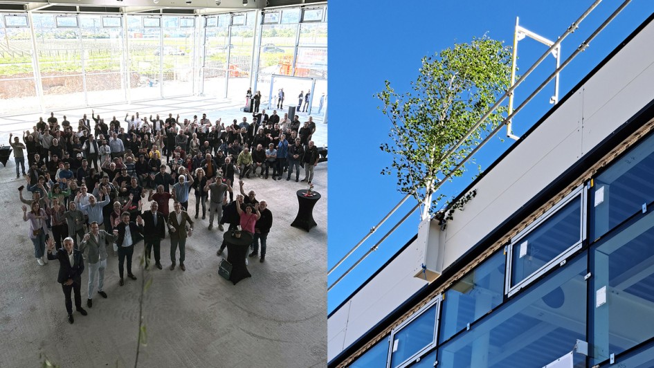 Kestenholz Gruppe: Mercedes-Benz Autowelt in Neustadt - Richtfest und Visualisierung