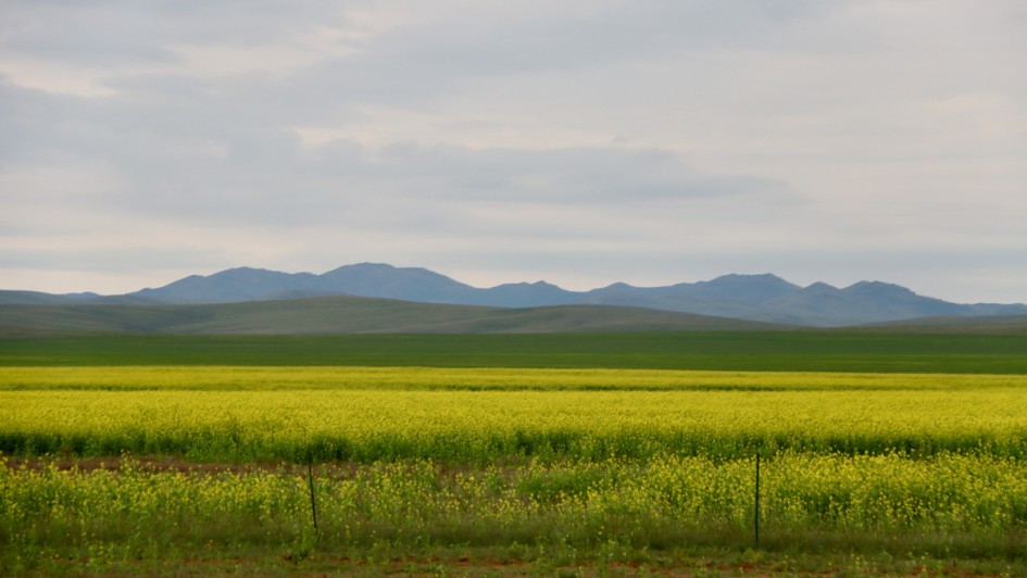 AUTOHAUS Motorradtour 2024 Mongolei