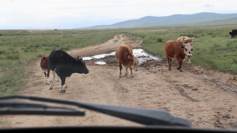 AUTOHAUS Motorradtour 2024 Mongolei