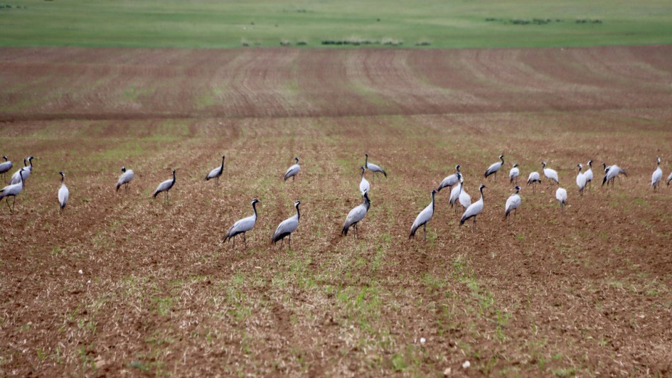 AUTOHAUS Motorradtour 2024 Mongolei
