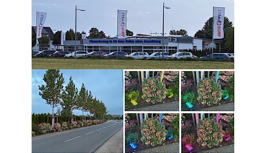 HfWU-Sommerexkursion 2025 Anclam