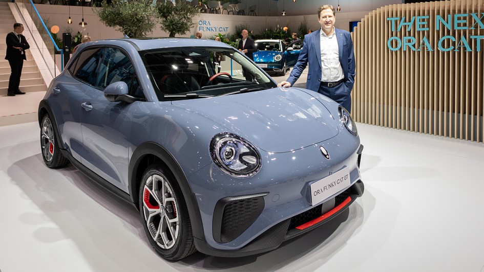 Jens-Schulz-Ora-Funky-Cat