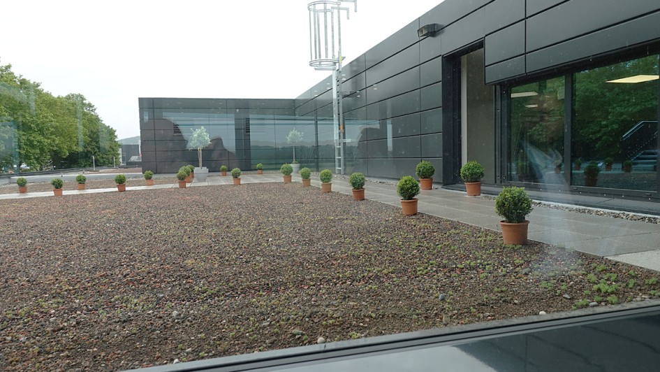 Mercedes-Benz Kestenholz