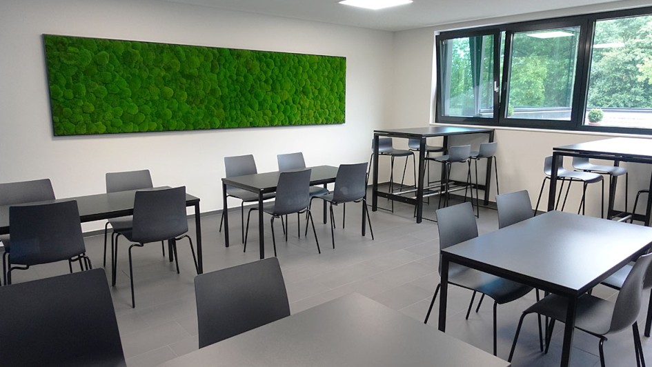 Mercedes-Benz Kestenholz