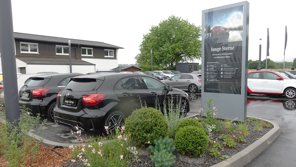 Mercedes-Benz Kestenholz