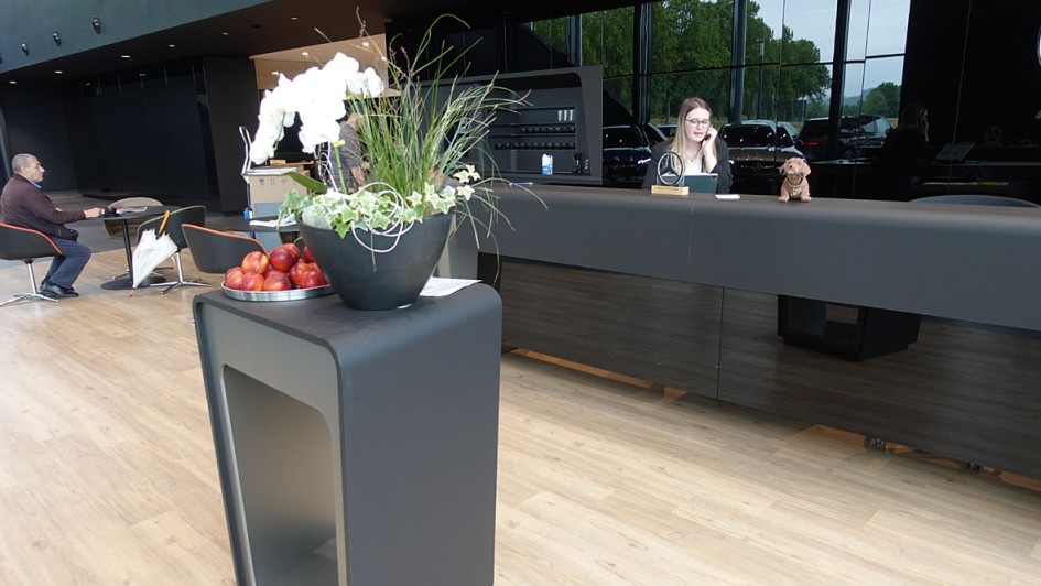 Mercedes-Benz Kestenholz