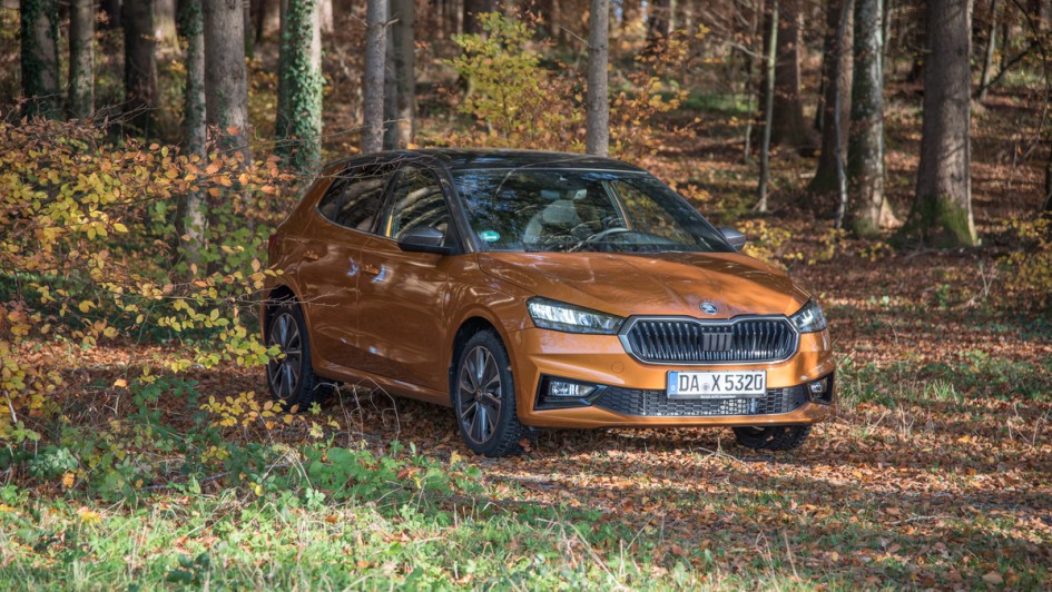 Skoda Fabia 2023 in bronze in Herbstwald